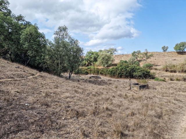 Quinta venda em Santiago Do Cacém, Setúbal