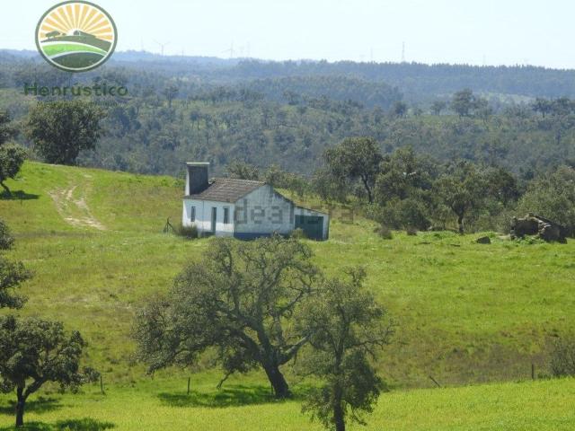 Quinta venda em Santiago Do Cacém, Setúbal