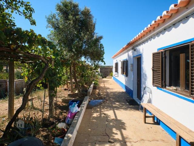 Quinta venda em Santiago Do Cacém, Setúbal