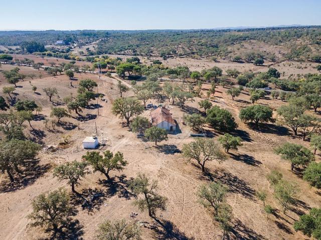 Quinta venda em Santiago Do Cacém, Setúbal