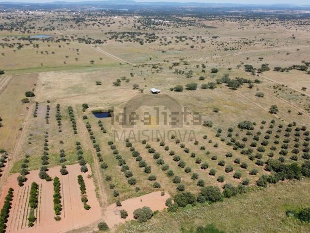 Quinta venda em Cabeça de Carneiro, Santiago Maior