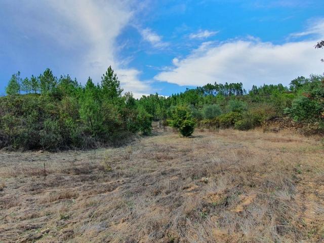 Quinta venda em Castelo Branco