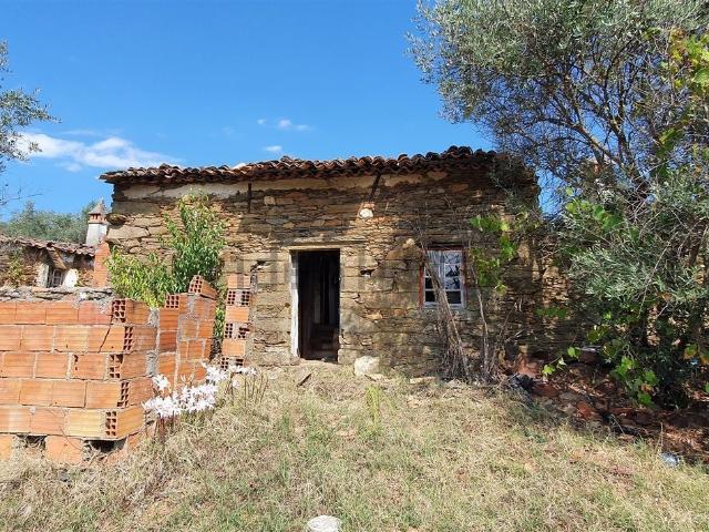 Quinta venda em Castelo Branco