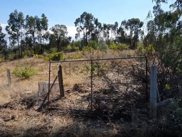 Quinta venda em Castelo Branco