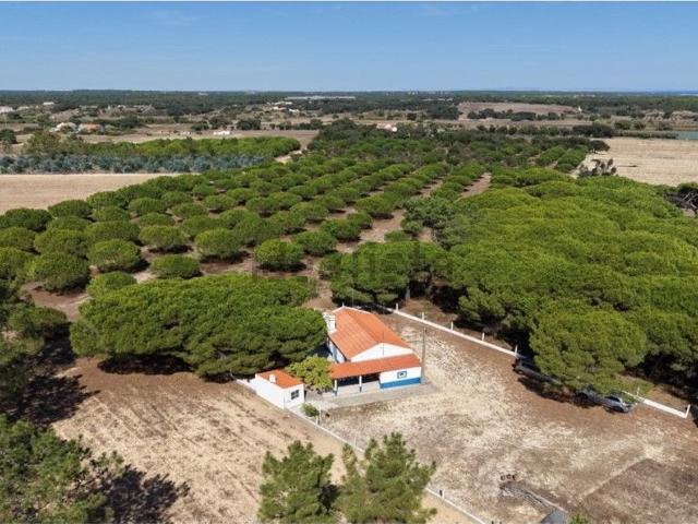 Quinta venda em Santiago Do Cacém, Setúbal