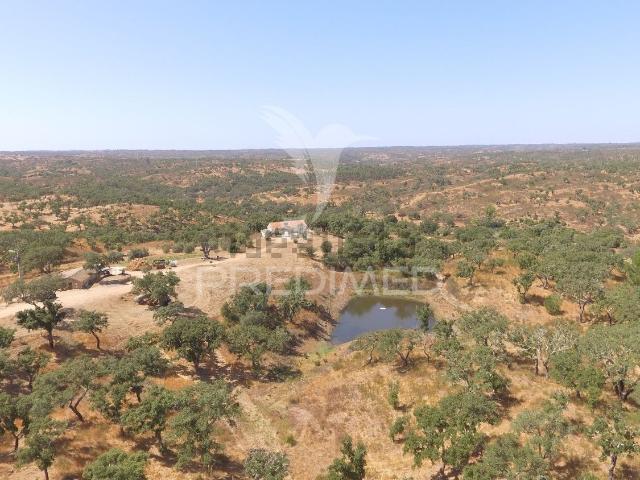 Quinta venda em Setúbal