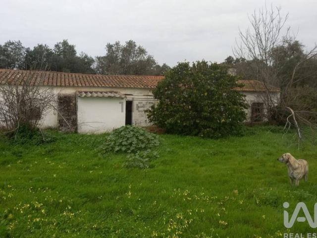 Quinta venda em Aldeia de Santo André, Santiago Do Cacém