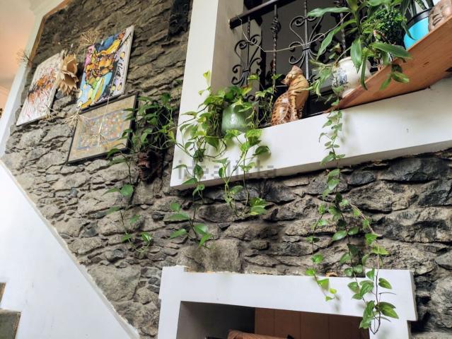 Quinta venda em Casas Próximas, Funchal