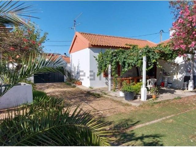 Quinta venda em Urbanização Casas de Santo António, Santo António Da Charneca