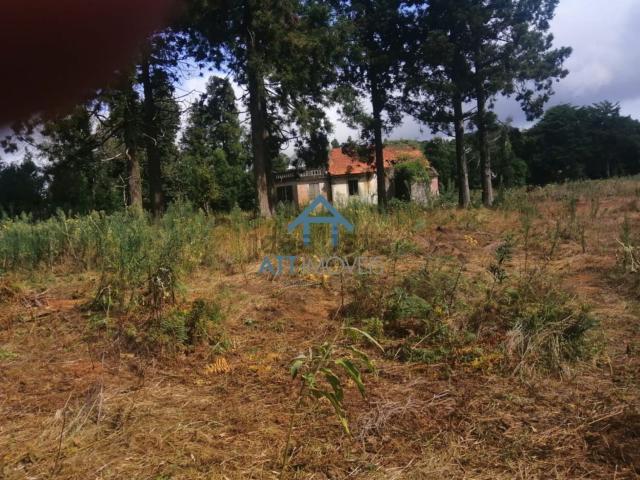 Quinta venda em Santa Cruz, Ilha Da Madeira