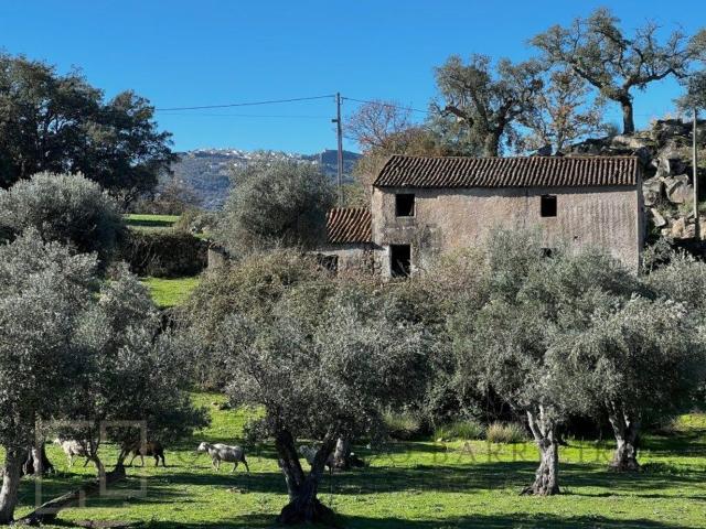 Quinta venda em Santo António Das Areias, Água da Cuba