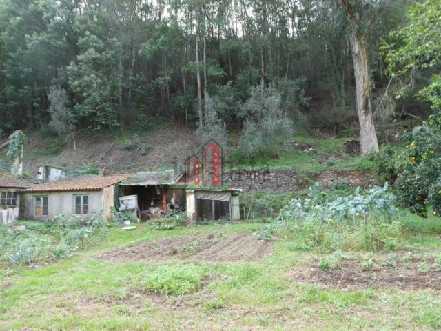 Quinta venda em Santo António Dos Olivais, Casa Branca
