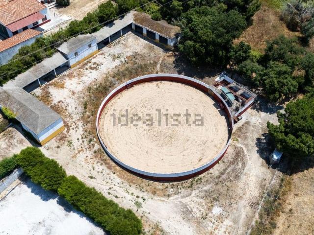 Quinta venda em Benavente, Santarém