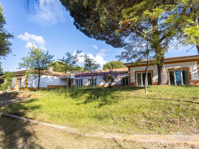 Quinta venda em Benavente, Santarém