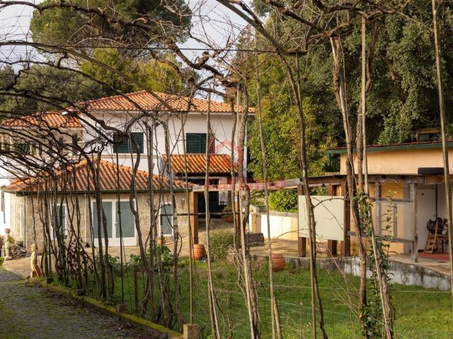 Quinta venda em Santo Tirso, Porto