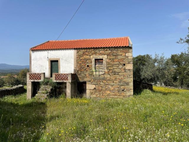 Quinta venda em Castelo Branco