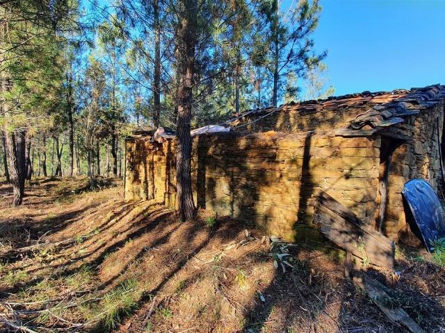 Quinta venda em Castelo Branco