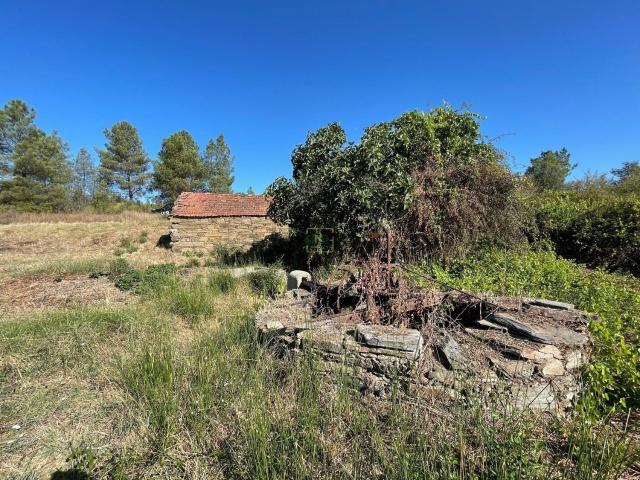 Quinta venda em Castelo Branco