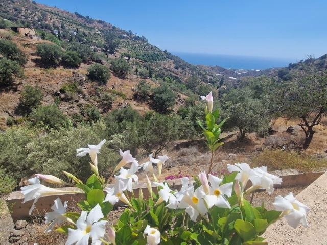 Casa Rural en venta en Sayalonga, Málaga
