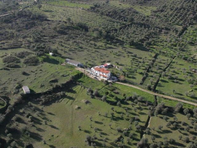 Quinta venda em Portalegre, São Lourenço