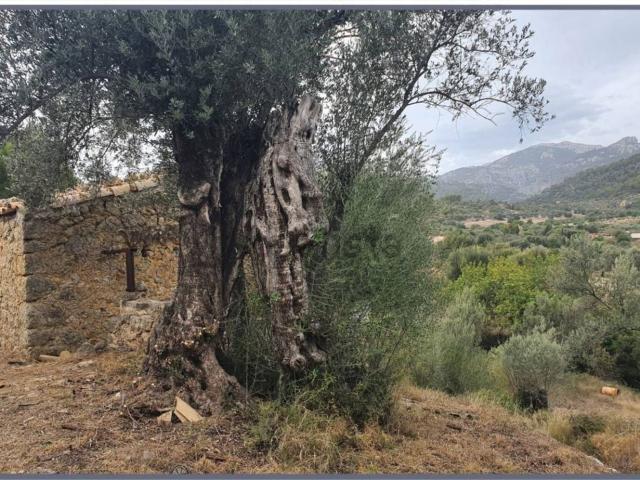 Casa Rural en venta en Moscari, Raiguer
