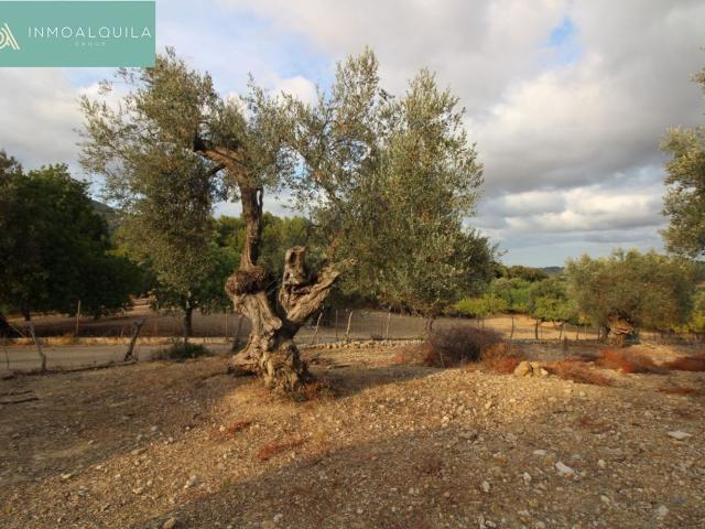 Casa Rural en venta en Raiguer, Baleares