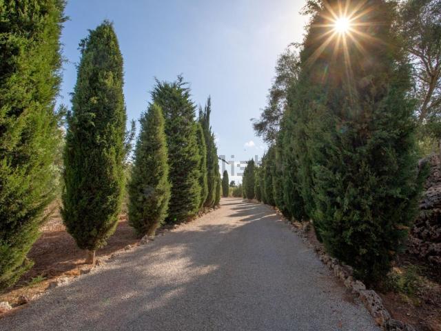 Casa Rural en venta en Biniali, Pla de Mallorca