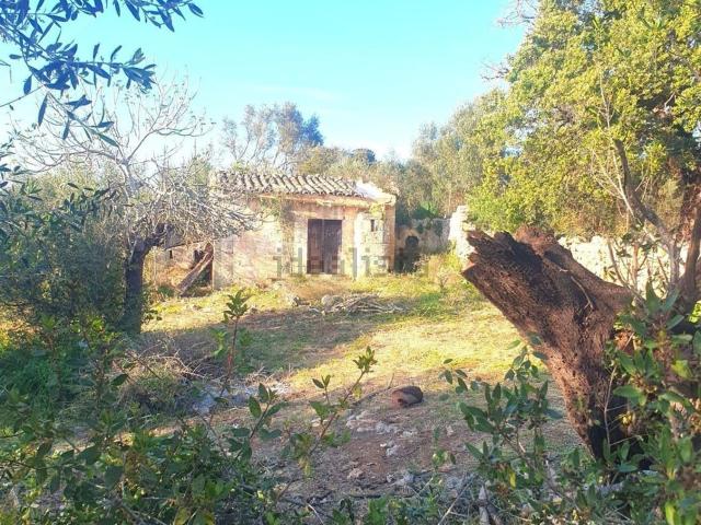 Casa Rural en venta en Pla de Mallorca, Baleares
