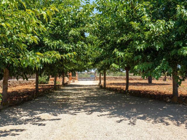 Casa Rural en venta en Biniali, Pla de Mallorca