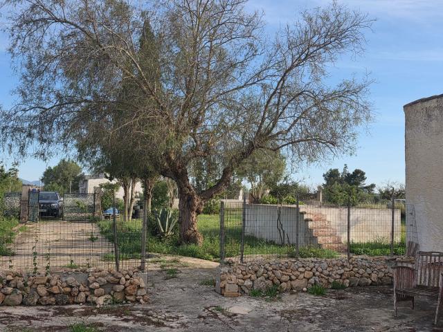 Casa Rural en venta en Biniali, Pla de Mallorca