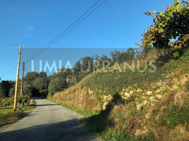 Quinta venda em Serdedelo