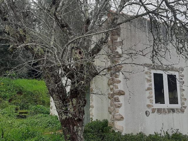 Quinta alugar em Tomar, Santarém