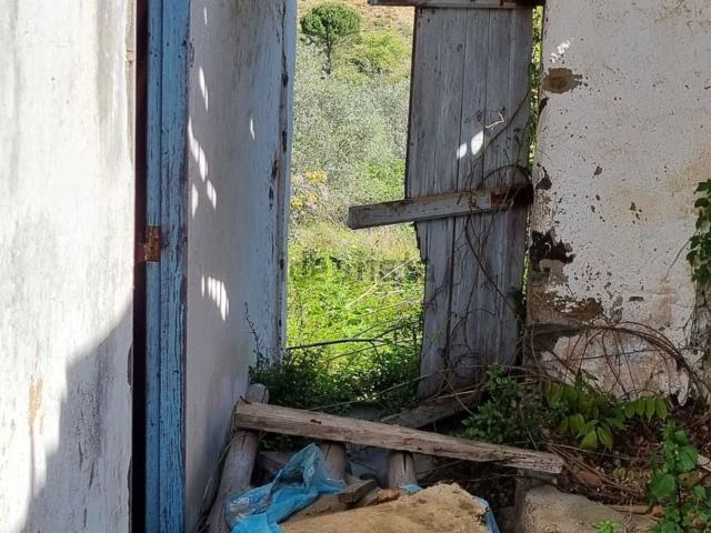 Quinta venda em Tomar, Santarém