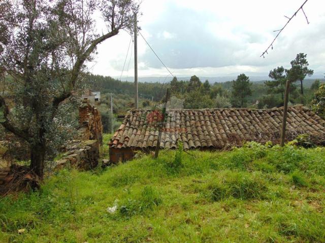 Quinta venda em Castelo Branco, Cumeada