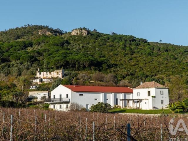 Quinta venda em Grelhal, Setúbal