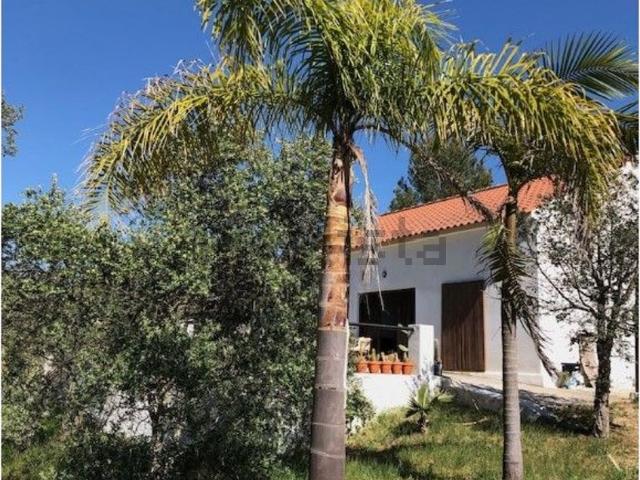 Quinta venda em Grelhal, Setúbal
