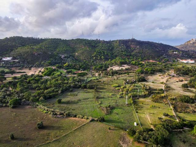 Quinta venda em Setúbal