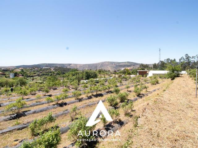 Quinta venda em Sever Do Vouga, Aveiro