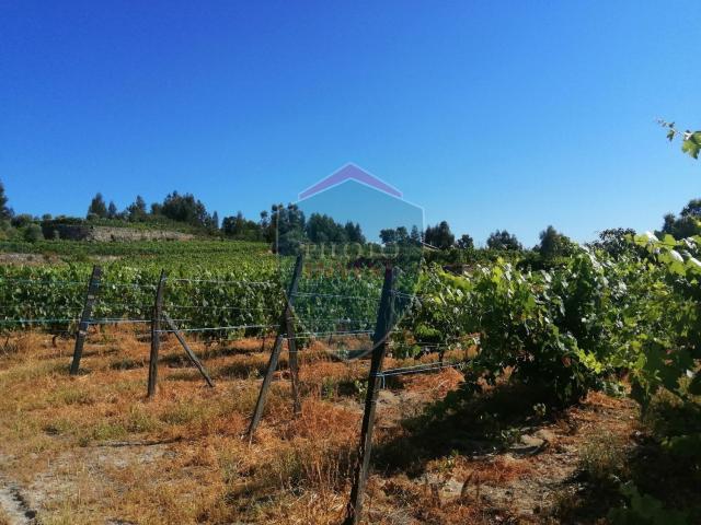 Quinta venda em Silgueiros, Viseu