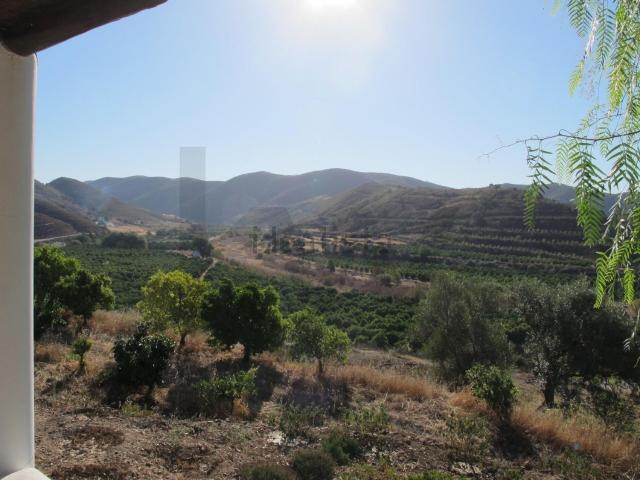 Quinta venda em Silves, Odelouca