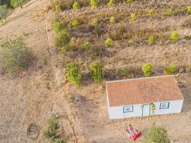 Quinta venda em Silves, Faro