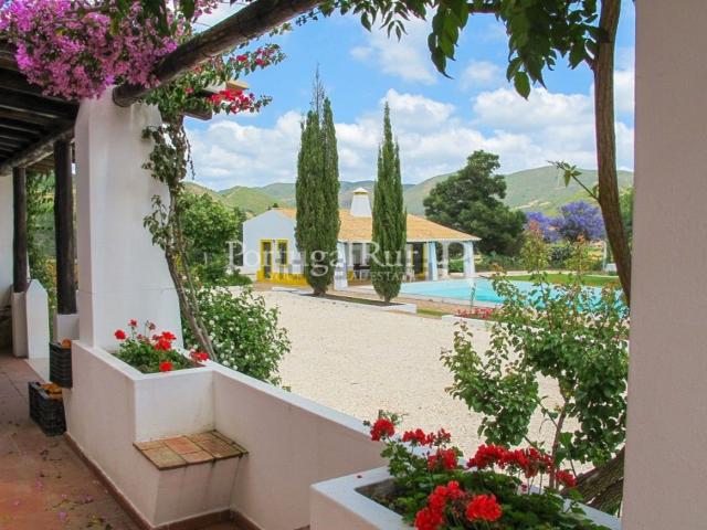 Quinta venda em Silves