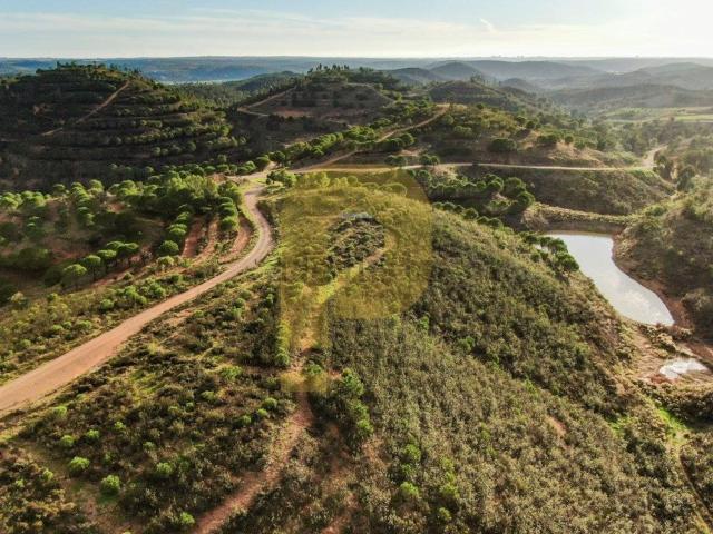 Quinta venda em Silves
