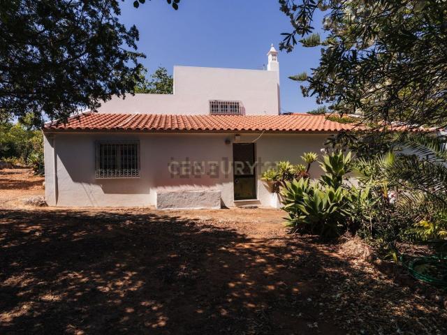 Quinta venda em Silves, Poço Barreto