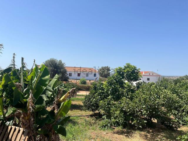 Quinta venda em Silves, Faro