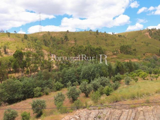 Quinta venda em Silves, Enxerim