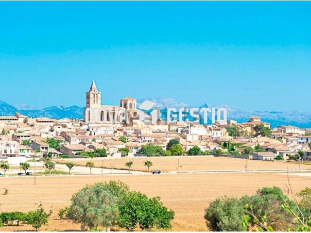Casa Rural en venta en ses Cases Noves, Pla de Mallorca