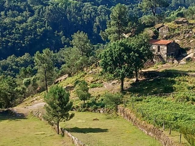 Quinta venda em Teso, Arcos De Valdevez
