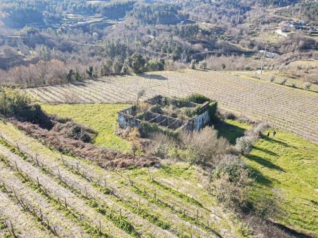 Quinta venda em Soalhães, Porto