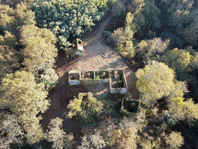 Quinta venda em Soalhães, Porto